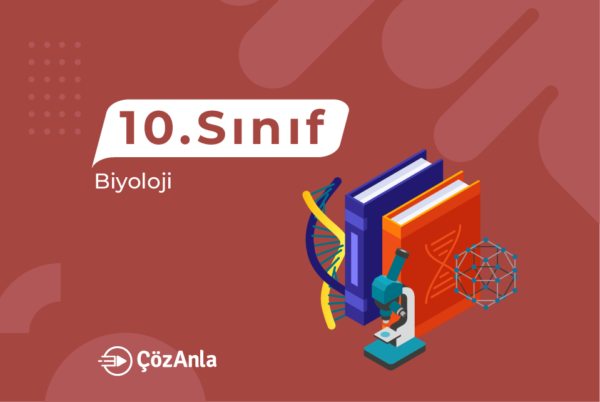 LimonDers 10. Sınıf Biyoloji