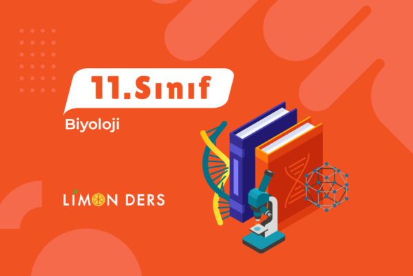 LimonDers 11. Sınıf Biyoloji