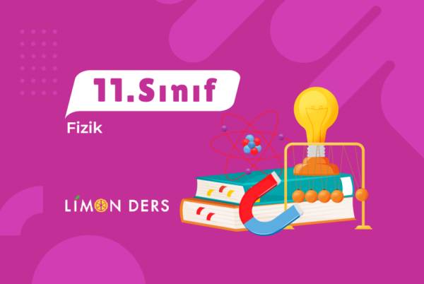 LimonDers 11. Sınıf Fizik