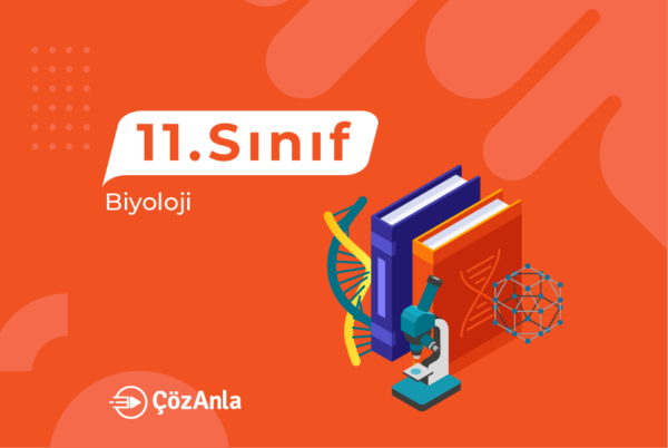 LimonDers 11. Sınıf Biyoloji