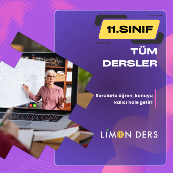 LimonDers 11. Sınıf Tüm Dersler
